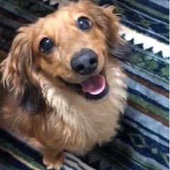 受付・メッセージ休止中