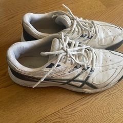 テニスニューズ　25cm