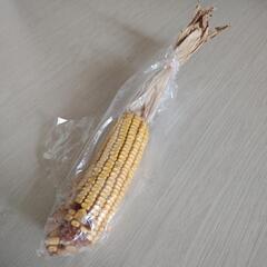 べるを商店　無農薬ドライコーン