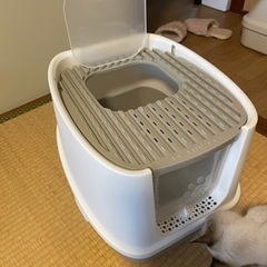 猫用トイレ
