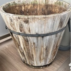 【受け渡し予定者決定】鉢植え　ガーデニング　大型