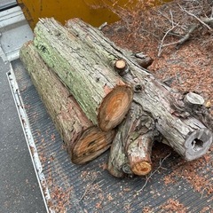 薪材の画像