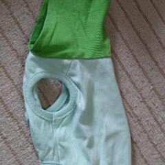引取希望　ドッグウェア　size2の画像