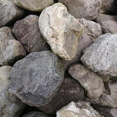 庭石  1つ１０k未満です全部差し上げますの画像