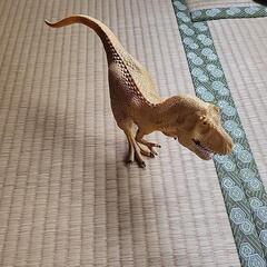 シュライヒティラノサウルス