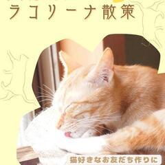 五月病の解消に^⁠_⁠^保護猫ちゃんを愛でる会＆八幡堀かラコリーナ散策