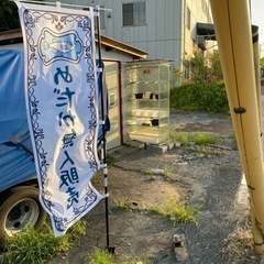 【めだか屋　恵作めだか】無人販売所5月6日オープンいたしました - ペット