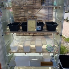 【めだか屋　恵作めだか】無人販売所5月6日オープンいたしました - 草加市