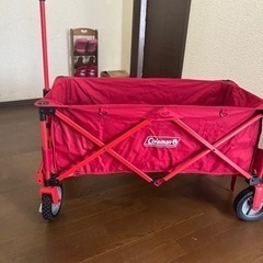 コールマン　決まりました