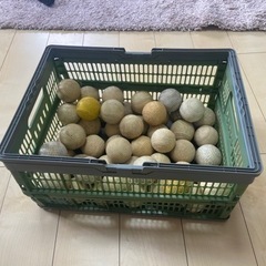 スポーツ 野球の画像