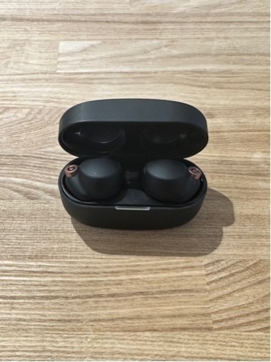 ソニー ワイヤレスノイズキャンセリングイヤホン WF-1000XM4 : 完全ワイヤレス/Amazon Alexa搭載/Bluetooth/LDAC対応/ハイレゾ相当 最大8時間連続再生/高精度通話品質/IPX4防滴性能/ ワイヤレス充電対応/2021年モデル / マイク付き/マルチポイント対応 360 Reality Audio ブラック WF-1000XM4 BM