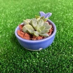 割れてる瓦⭐︎の画像