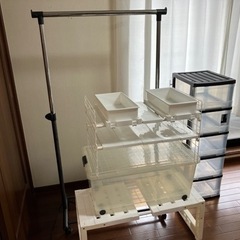 【差し上げます】ペンダントライト(直径50cm)の画像