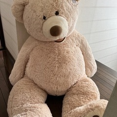 コストコのクマのぬいぐるみ