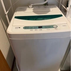 家電 生活家電 洗濯機