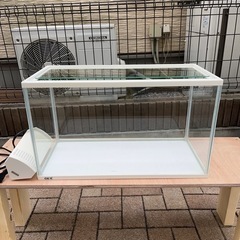 GEX 　水槽　金魚やメダカに　　　　　