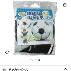 ビーチボール