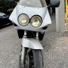 FZR 250R
