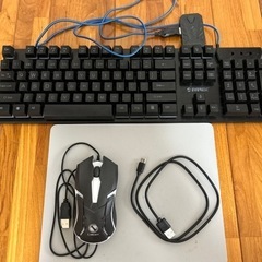 3点セット　キーボード、コンバーター、マウスの画像