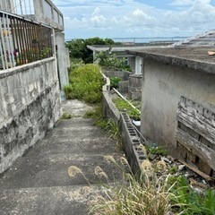 草刈り　の画像