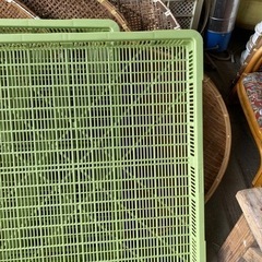 梅を干すザル‼️いろいろ‼️の画像
