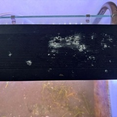 60cm水槽ライトの画像