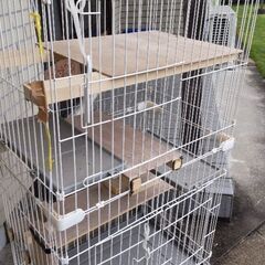譲渡先決まりました。子猫用飼育ケージの画像