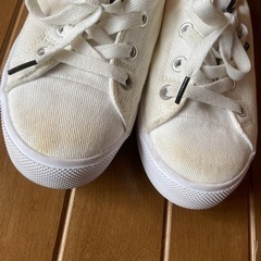 靴/バッグ 靴 スニーカーの画像