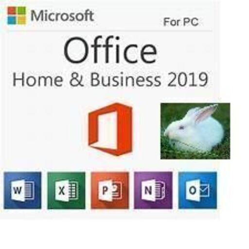 ☆ 【手順書有】 永続版 Microsoft Office Professional Plus 2019 正規プロダクトキー 認証保証 ☆