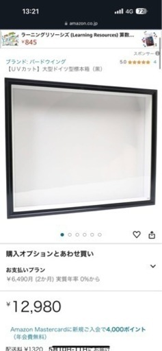 バードウイング 大型ドイツ型標本箱