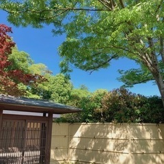 宇宙茶室があります