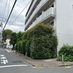 パート・アルバイト募集(軽作業・軽度のPC作業)の画像