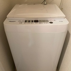 家電 生活家電 洗濯機