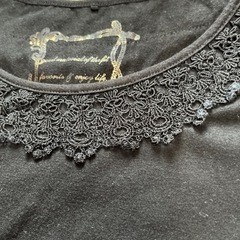  Tシャツ レディースの画像