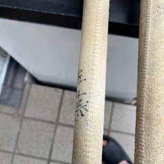 竹刀　 2本の画像