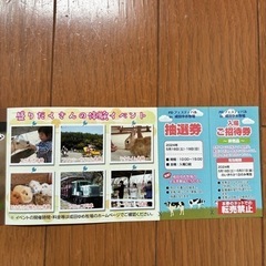 【期限が近いため大幅値下げ！】成田ゆめ牧場 チケットの画像