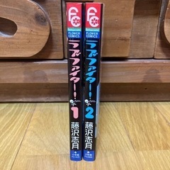 ラブファイター全巻　藤沢志月　漫画の画像