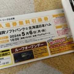 本日野球チケット[転売NG]