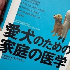 【比較的綺麗な中古】愛犬のための家庭の医学　本　の画像