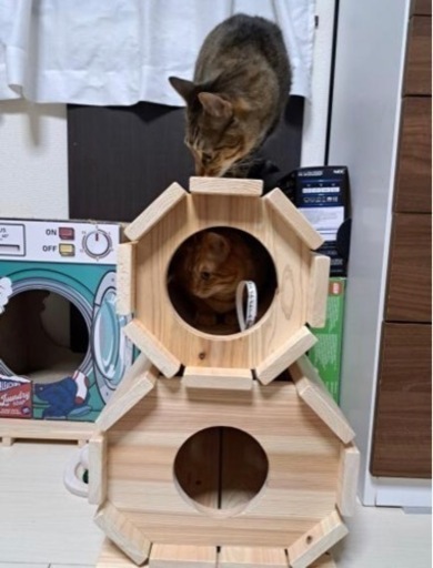 猫ちゃんが喜ぶ天然ヒノキのトンネル