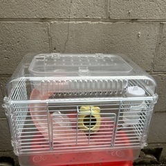 小動物ケージ
の画像