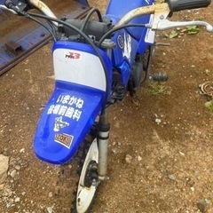 PW50 オフロードバイク お話し中