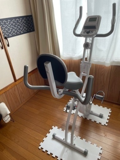 エアロバイク　アルインコ　スポーツ フィットネス、トレーニング