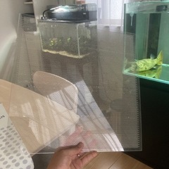 フィッシュセパレーターの画像