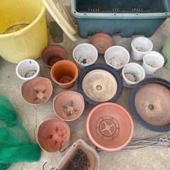 園芸用品③の画像