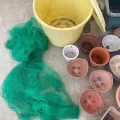 園芸用品③の画像