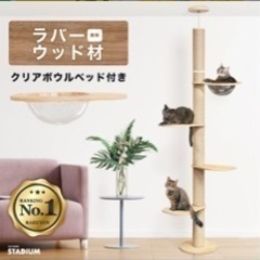 キャットタワーの画像
