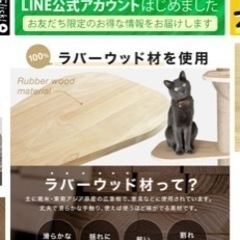 キャットタワーの画像