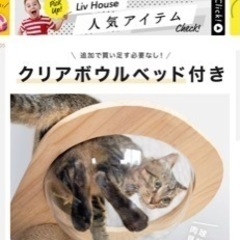 キャットタワーの画像