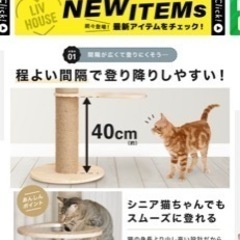 キャットタワーの画像